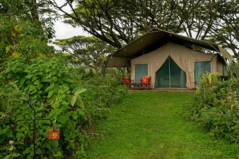 lemala-ngorongoro-private-tents