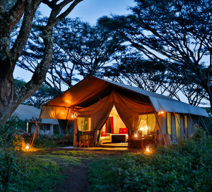 lemala-ngorongoro-tented-accommodation-2