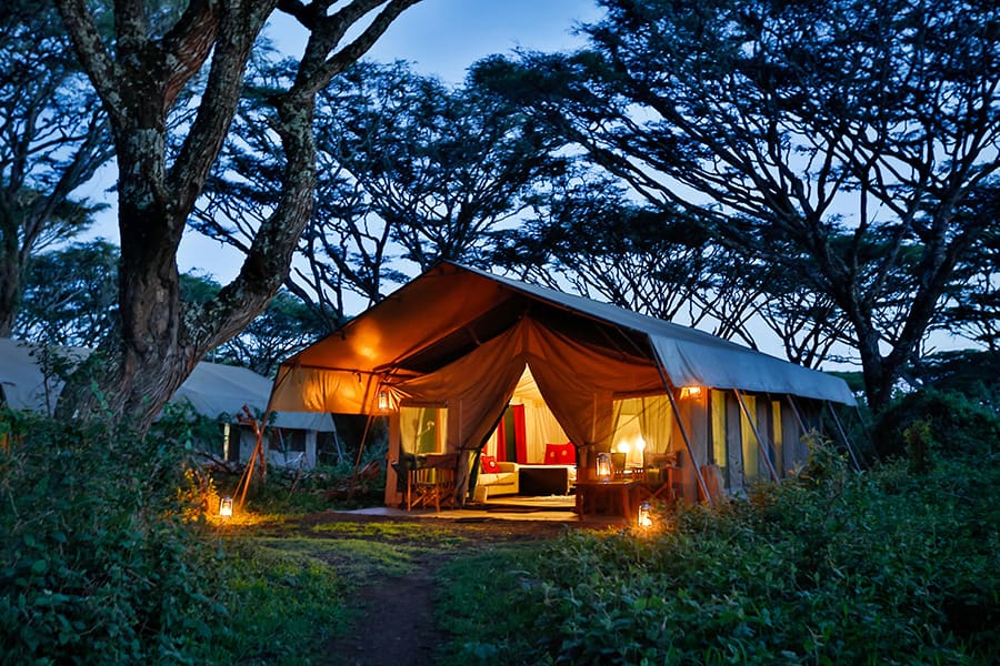 lemala-ngorongoro-alojamiento en tienda de campaña-2