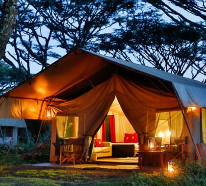 lemala-ngorongoro-tented-accommodation-banner