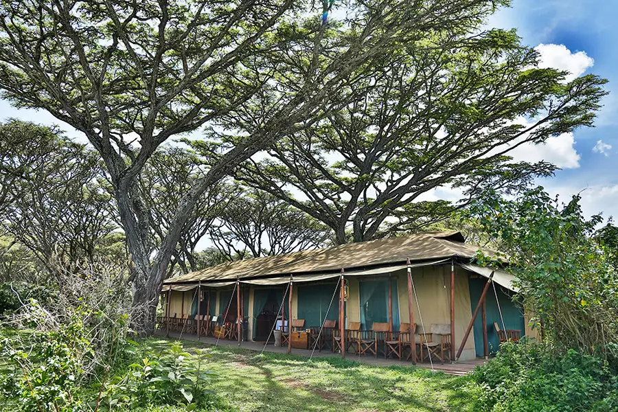 lemala-ngorongoro_21