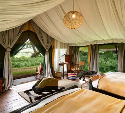 lemala-ngorongoro-spacious-en-suite-tents_3