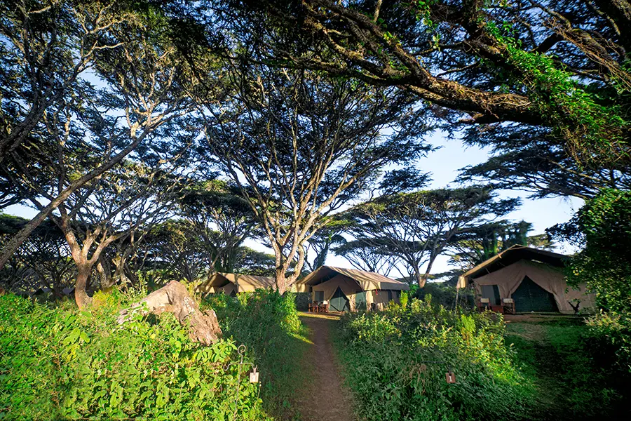 LemalaNgorongoro-Entrance-ArialView