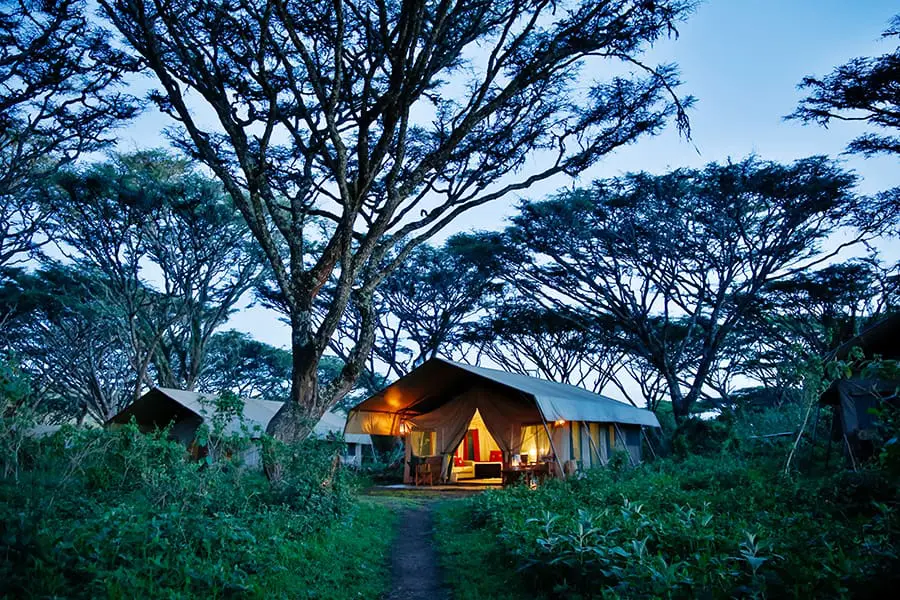Lemala Ngorongoro.