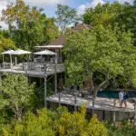 Leopard Hills, enclavada en una zona boscosa popular entre los leopardos.