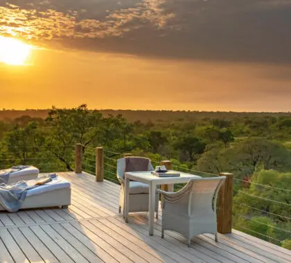 Safaris por el Parque Kruger: Guía definitiva de safaris públicos y privados