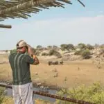 Contemple la fauna que deambula por la orilla seca del río Boteti.