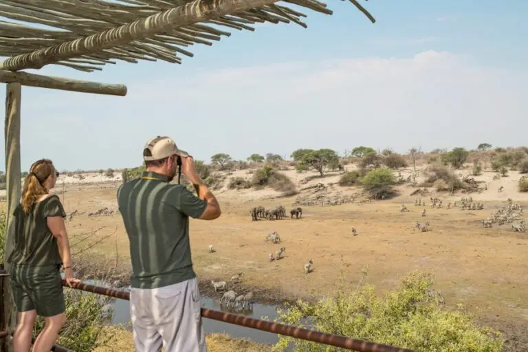 View wildlife roaming below on bank the dry Boteti River bank.