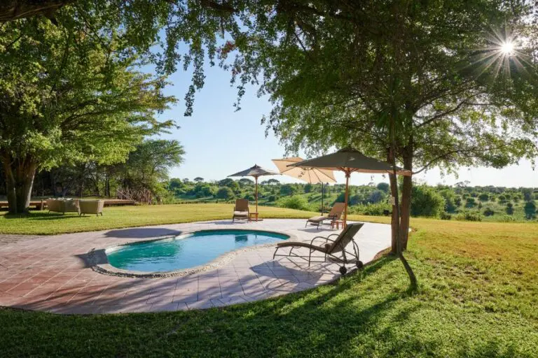 Swimming pool.