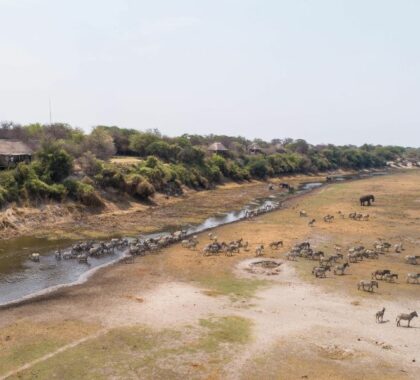 Leroo La Tau is situated on the western bank of the Boteti River.