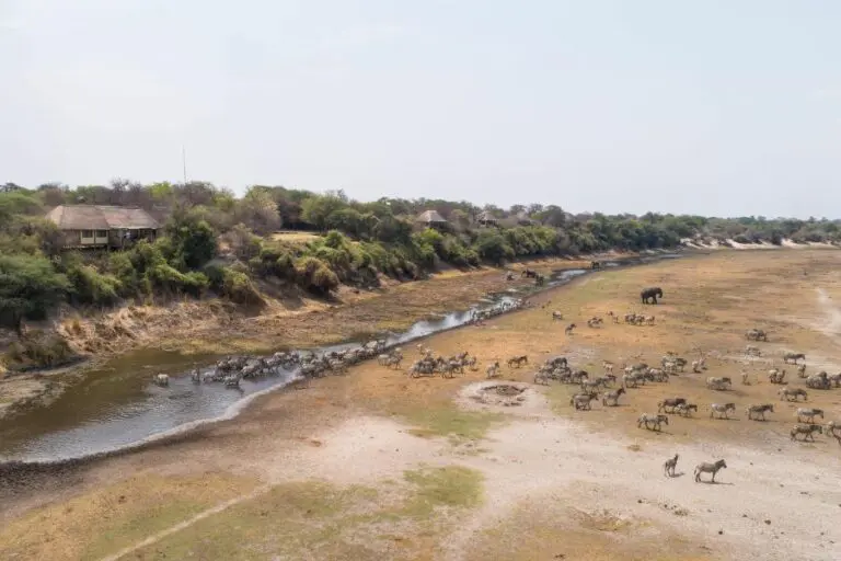 Leroo La Tau is situated on the western bank of the Boteti River.