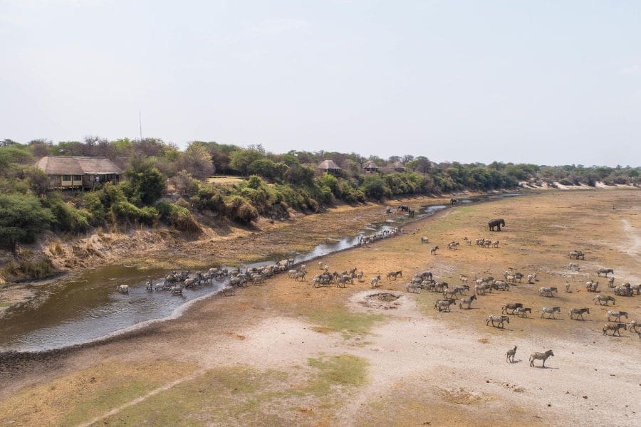 Leroo La Tau está situado en la orilla occidental del río Boteti.