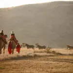 Go camel trekking in Sambru | Lewa Safari Camp
