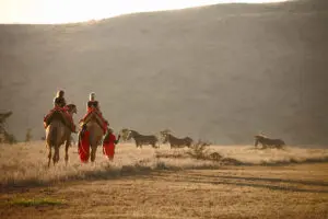 Go camel trekking in Sambru | Lewa Safari Camp