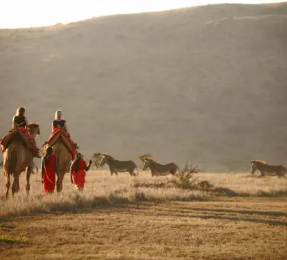 Go camel trekking in Sambru | Lewa Safari Camp