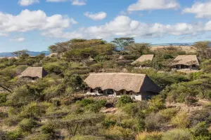 External view of the Lew Safari Camp Family Tent. 