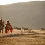 Camelback safaris.