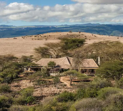 Lewa Safari Camp, perfectly positioned in the African bush. 
