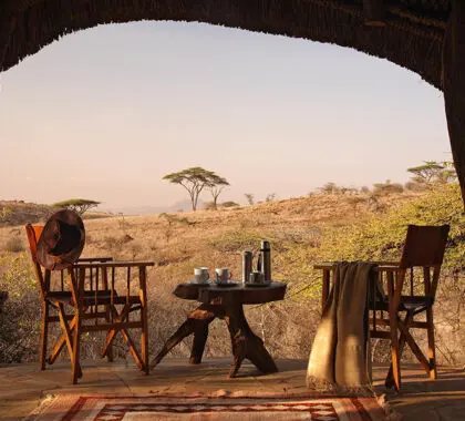 Sit down, have a glass of wine and enjoy the beauty of nature around you.
