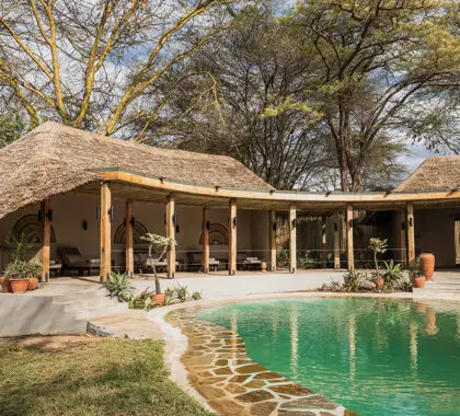 Have a refreshing swim in the pool.