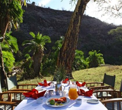 Enjoy your meal in the shade of the trees in the middle of nature
