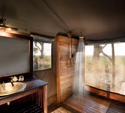 LinyantiBushCampamento-Baño-Habitación-Estándar