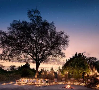 LinyantiBushCampamento-Comedor-BomaCampamentoFuego