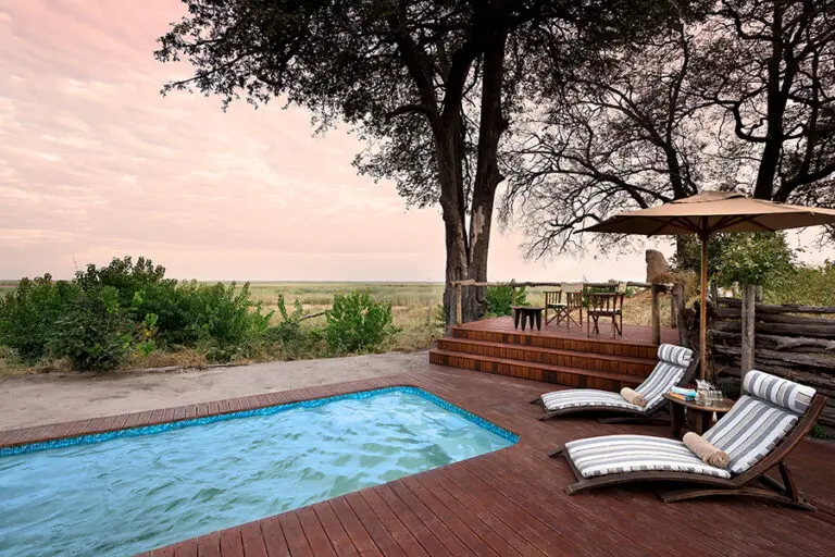 LinyantiBushCampamento-NataciónPiscina-Cubierta-Terraza