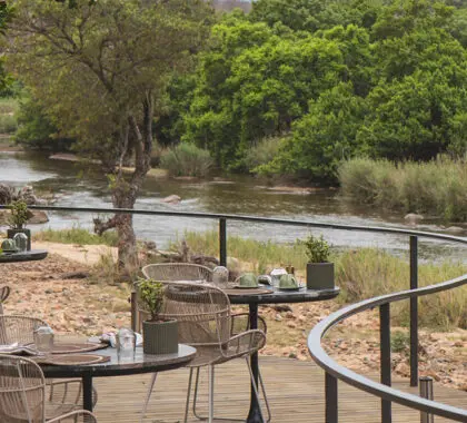 lion-sands-ivory-lodge-main-lodge-dining-deck-2-large