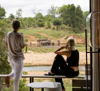 Elephants gather at the water in fron of the villas.