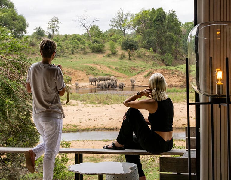 Elephants gather at the water in fron of the villas.