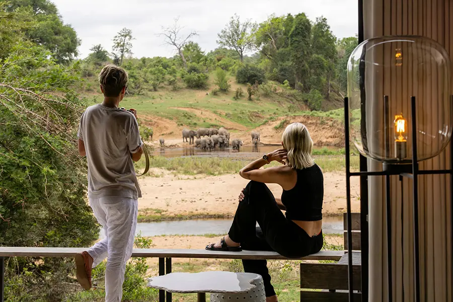 Elephants gather at the water in fron of the villas.