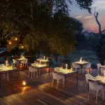 Cena bajo las estrellas.