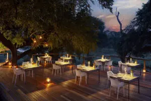 Dinner under the stars.