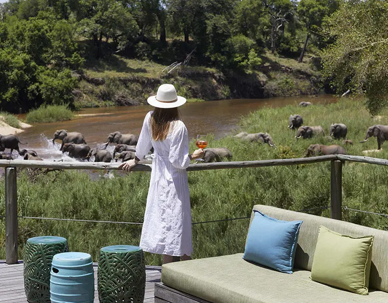 The river brings an array of wildlife right in front of the lodge. 