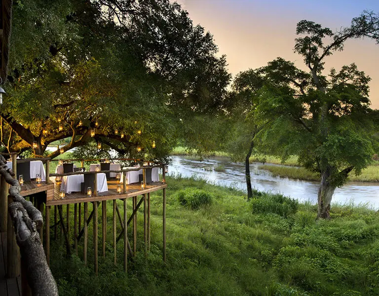The dining deck overlooks the river, you'll often see elephants passing below. 