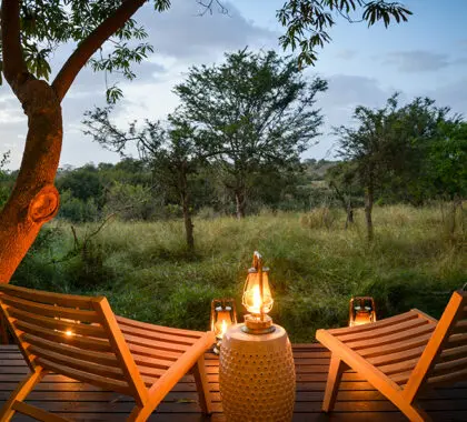 Sumérjase en la naturaleza indómita del Kruger en el Lion Sands River Lodge.