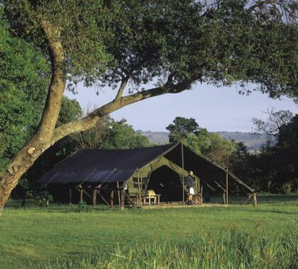Accommodation comes in the form of luxury tented suites located in a fringe of forest.