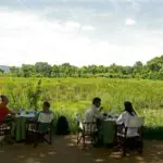 El desayuno y la comida se sirven en el comedor al aire libre, donde es posible que se le una un elefante errante.