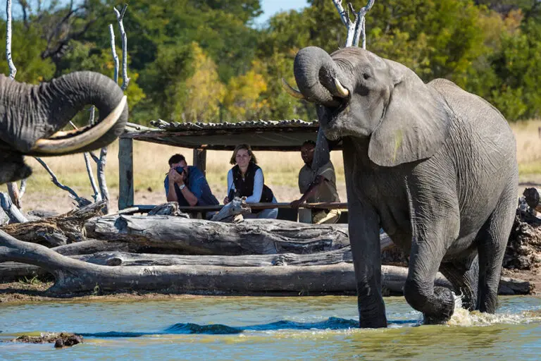 LittleMakalolo-Activity-Elephant