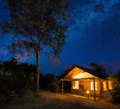 LittleMakalolo-Exterior-ArialVer