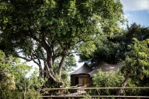 LittleMombo-Entrada-ArialVer