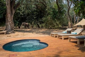 LittleRuckomechi-Piscina-Elefante