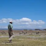 Safari a pie.