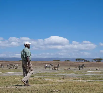Safari a pie.