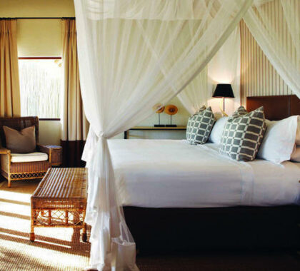 Beautifully designed safari suites with stunning views of the bush.