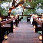Londolozi Tree Camp está considerado por algunos como el lodge de safari más bello de África, ¿por qué no lo comprueba usted mismo?