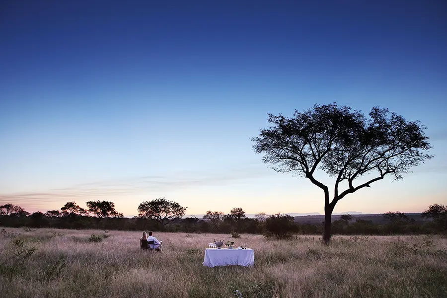 LondoloziTreeCampamento-Comedor-BushCena