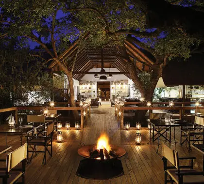 Londolozi Tree Camp. 