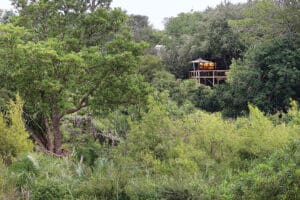 LondoloziTreeCamp-Exterior-ArialVer